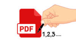 Page Numbering Services